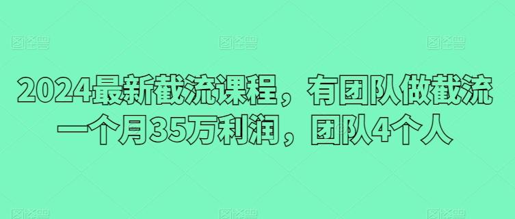 2024最新截流课程，有团队做截流一个月35万利润，团队4个人-资源社