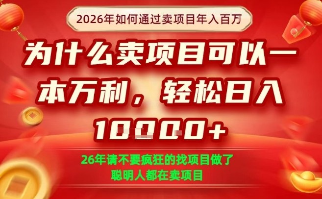 一单净利润1K+，26年想年入100个W，死磕卖项目就够了【揭秘】-资源社