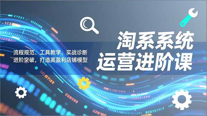 淘系系统运营进阶课2.0，流程规范、工具教学、实战诊断，进阶突破，打造高盈利店铺模型-资源社