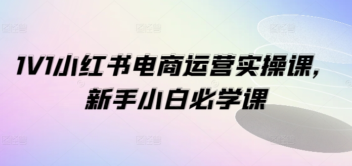 1V1小红书电商运营实操课，新手小白必学课-资源社