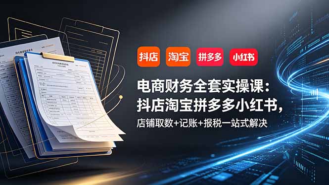 电商财务全套实操课:抖店淘宝拼多多小红书,店铺取数+记账+报税一站式解决-资源社