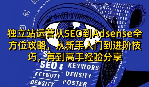 独立站运营从SEO到Adsense全方位攻略，从新手入门到进阶技巧，再到高手经验分享-资源社