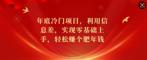 年底冷门项目，利用信息差，实现零基础上手，轻松赚个肥年钱【揭秘】-资源社