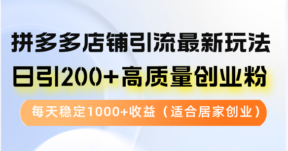 拼多多店铺引流最新玩法,日引200+高质量创业粉,每天稳定1000+收益(...-资源社