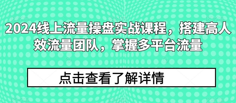 2024线上流量操盘实战课程，搭建高人效流量团队，掌握多平台流量-资源社