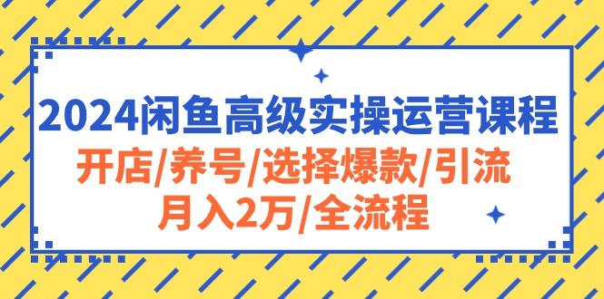 2024闲鱼高级实操运营课程：开店/养号/选择爆款/引流/月入2万/全流程-资源社