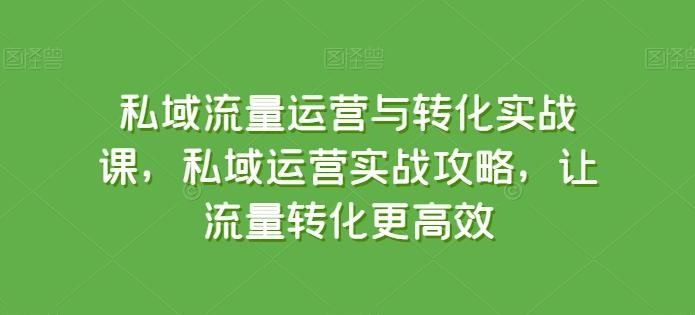 私域流量运营与转化实战课，私域运营实战攻略，让流量转化更高效-资源社