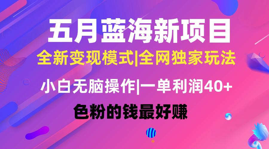 五月蓝海项目全新玩法，小白无脑操作，一天几分钟，矩阵操作，月入4万+-资源社