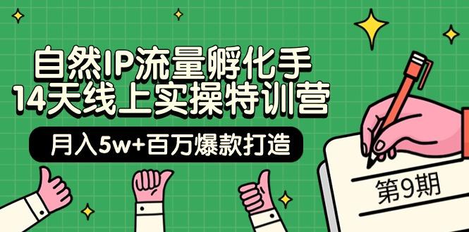 (9881期)自然IP流量孵化手 14天线上实操特训营【第9期】月入5w+百万爆款打造 (74节)-资源社