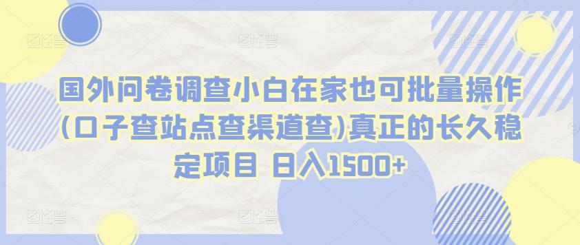 国外问卷调查小白在家也可批量操作(口子查站点查渠道查)真正的长久稳定项目 日入1500+【揭秘】-资源社