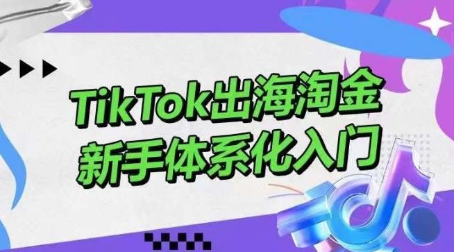 TikTok出海淘金，新手体系化入门，零基础快速入门，掌握短视频、直播带货等引流到变现的知识-资源社