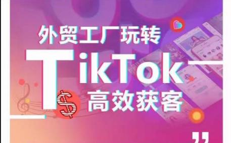 外贸工厂玩转TikTok高效获客，多种引流方式与账号定位技巧，拆解爆款短视频打造成功案例-资源社