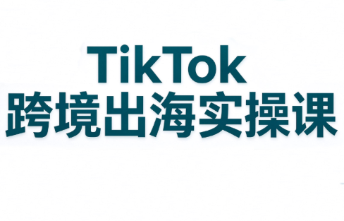 彭老师·TikTok跨境出海实操课-资源社