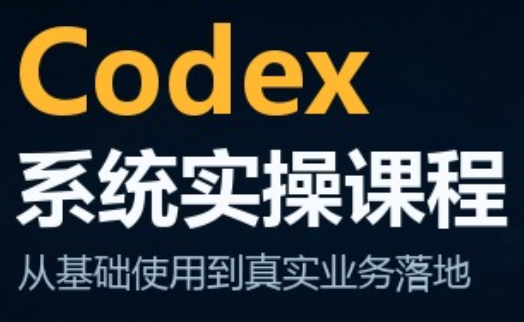 codex系统实操课程(更新10月)-资源社
