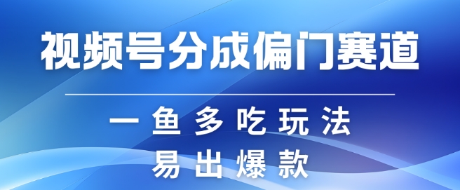 视频号创作者分成计划偏门类目，容易爆流，实拍内容简单易做【揭秘】-资源社