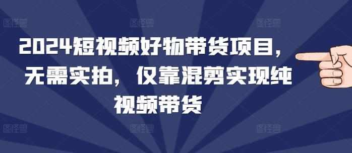 2024短视频好物带货项目，无需实拍，仅靠混剪实现纯视频带货-资源社