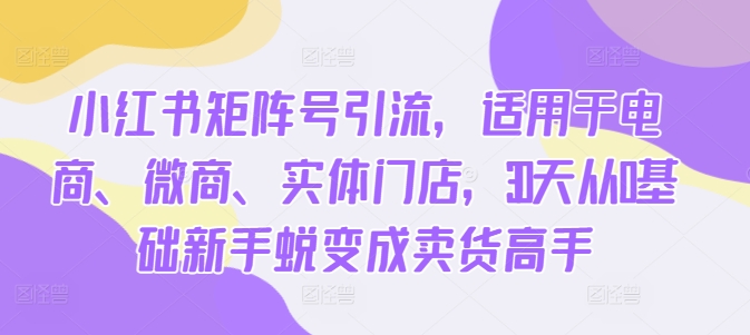 小红书矩阵号引流，适用于电商、微商、实体门店，30天从0基础新手蜕变成卖货高手-资源社