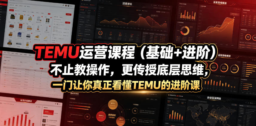 TEMU运营课程(基础+进阶)，不止教操作，更传授底层思维，一门让你真正看懂TEMU的进阶课-资源社