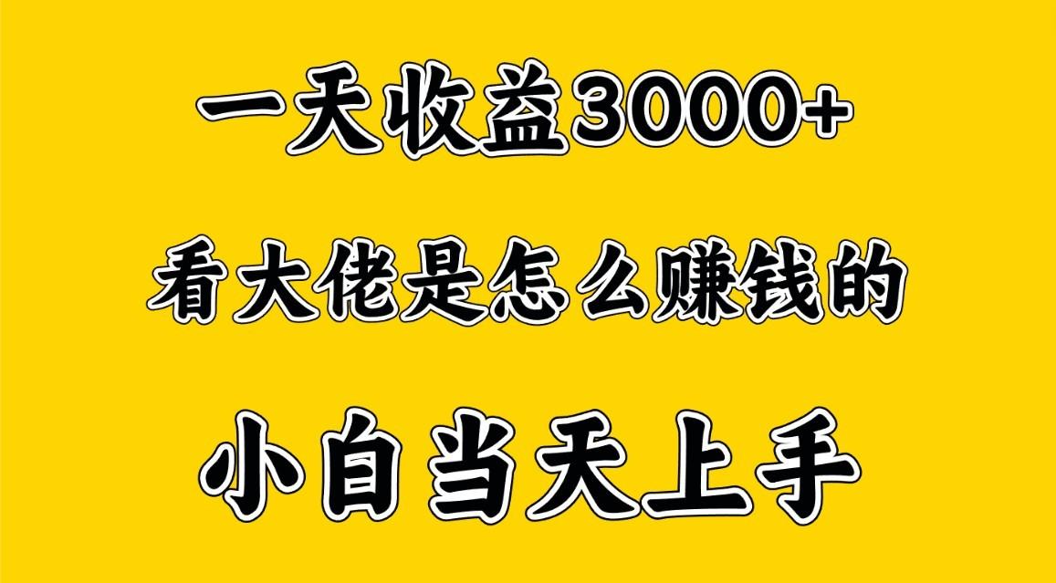 一天赚3000多，大佬是这样赚到钱的，小白当天上手，穷人翻身项目-资源社