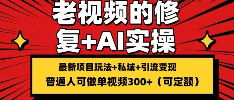 修复老视频的玩法，搬砖+引流的变现(可持久)，单条收益300+【揭秘】-资源社