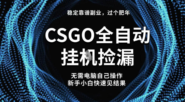 【稳定副业】全球最热门游戏CSGO全自动捡漏，最新玩法，新手小白日入5张+【揭秘】-资源社