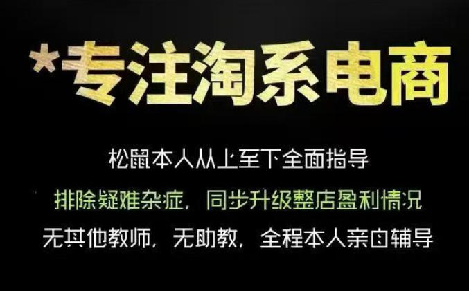 松鼠会电商VIP课程,从基础布局到高阶优化,助你掌握淘宝运营逻辑,提升店铺流量与转化(更新0815)-资源社