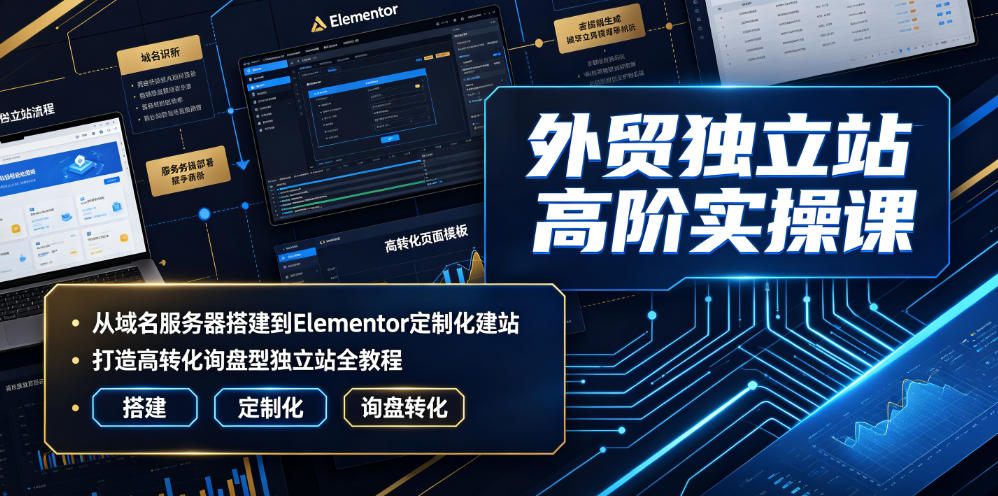 外贸独立站高阶实操课|从域名服务器搭建到Elementor定制化建站,打造高转化询盘型独立站全教程-资源社