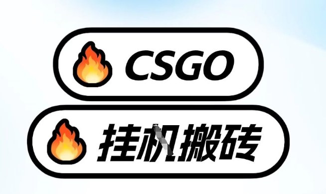 真全网独家CSGO挂G，最新玩法,单日捡漏1K+，不用电脑，不用打游戏【揭秘】-资源社