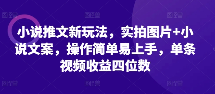 小说推文新玩法，实拍图片+小说文案，操作简单易上手，单条视频收益四位数-资源社