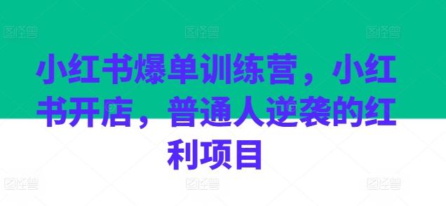 小红书爆单训练营，小红书开店，普通人逆袭的红利项目-资源社