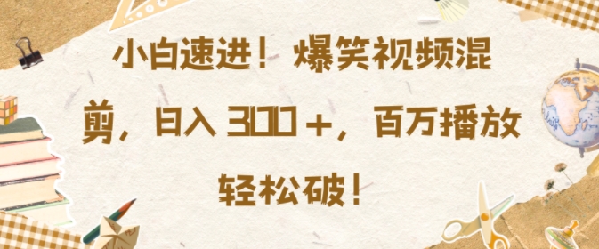 小白速进，爆笑视频混剪，日入3张，百万播放轻松破【揭秘】-资源社