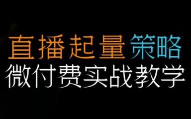 半野老师·直播带货起量与微付费必学课视频号(更新2026)-资源社