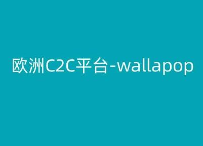 欧洲C2C平台-wallapop-kim跨境电商教程-资源社