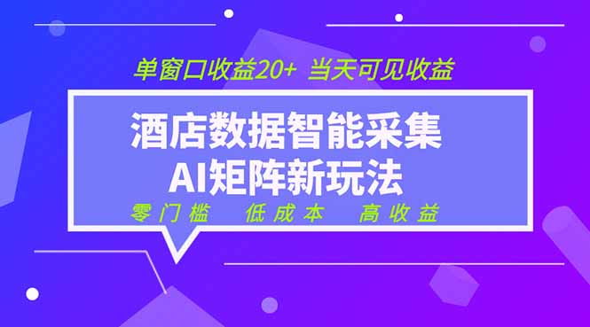 2026酒店数据采集ai智能矩阵新风口  低成本   高收益   当天见收益   单窗口20+-资源社