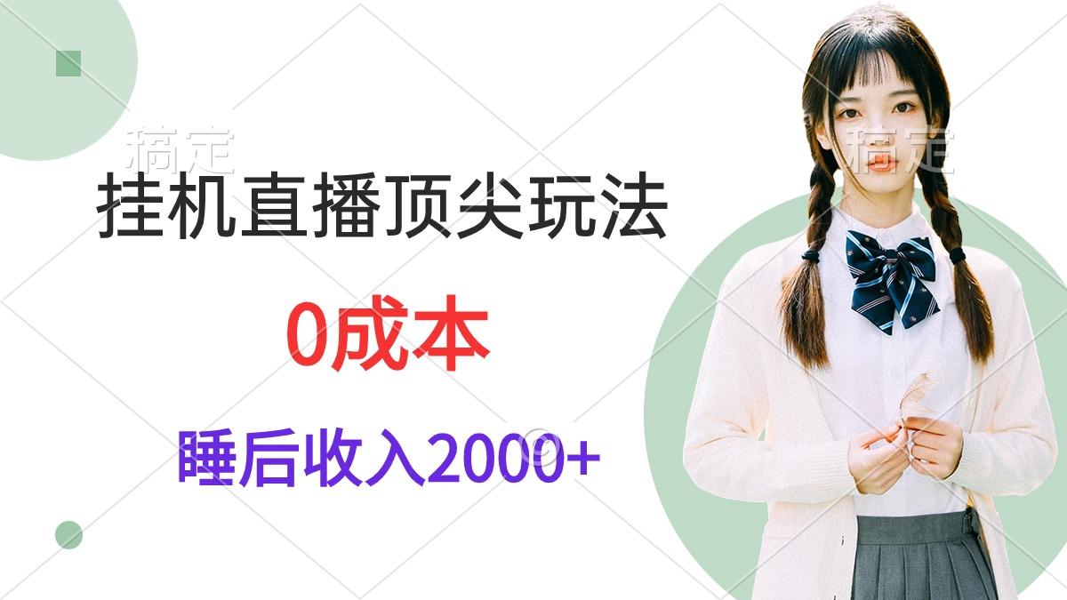 (9715期)挂机直播顶尖玩法，睡后日收入2000+、0成本，视频教学-资源社