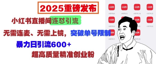 2025重磅发布：小红书直播间连怼引流，无需连麦、无需上镜，突破单号限制，暴力日引流600+-资源社