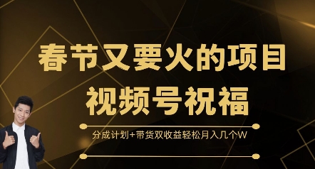 春节又要火的项目视频号祝福，分成计划+带货双收益，轻松月入几个W【揭秘】-资源社