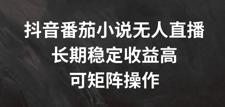 抖音番茄小说无人直播，长期稳定收益高，可矩阵操作【揭秘】-资源社