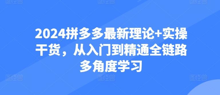 2024拼多多最新理论+实操干货，从入门到精通全链路多角度学习-资源社