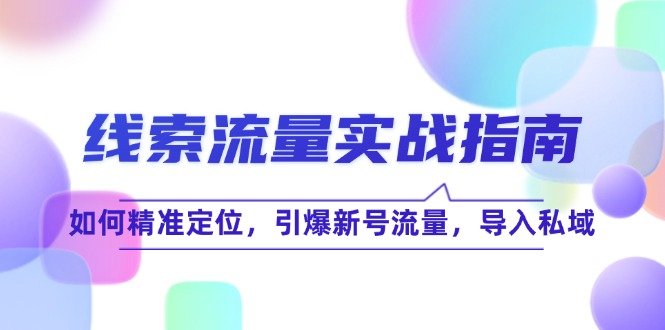 线 索 流 量-实战指南：如何精准定位，引爆新号流量，导入私域-资源社