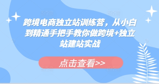 跨境电商独立站训练营，从小白到精通手把手教你做跨境+独立站建站实战-资源社