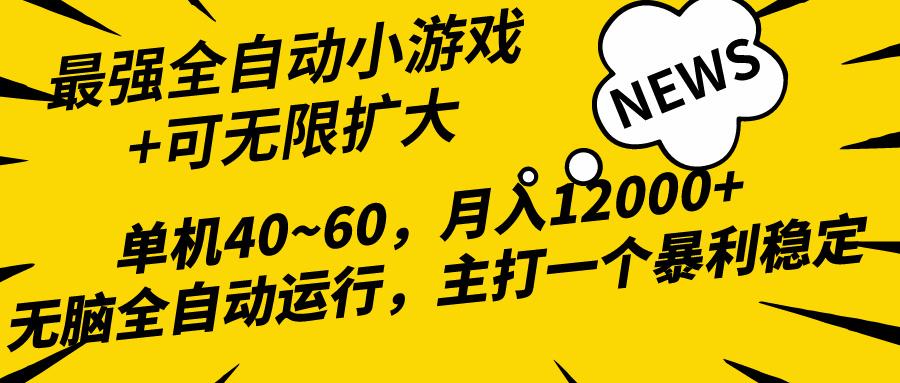 (10046期)2024最新全网独家小游戏全自动，单机40~60,稳定躺赚，小白都能月入过万-资源社