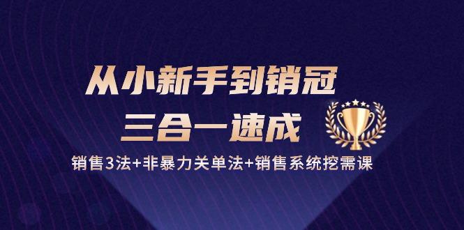 从小新手到销冠 三合一速成：销售3法+非暴力关单法+销售系统挖需课 (27节-资源社