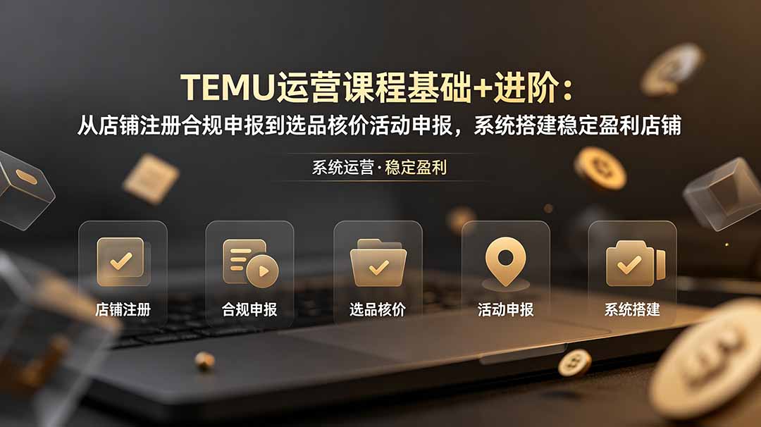 TEMU运营课程(基础+进阶-资源社
