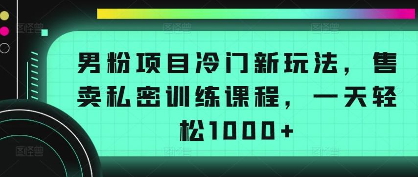 男粉项目冷门新玩法,售卖私密训练课程,一天轻松1000+【揭秘】-资源社