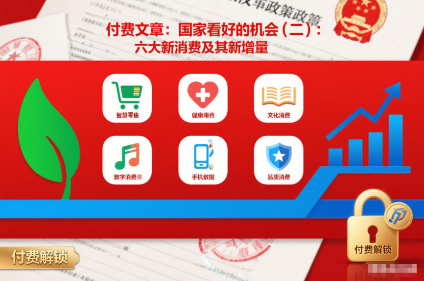 付费文章：国家看好的机会(二)：六大新消费及其新增量-资源社