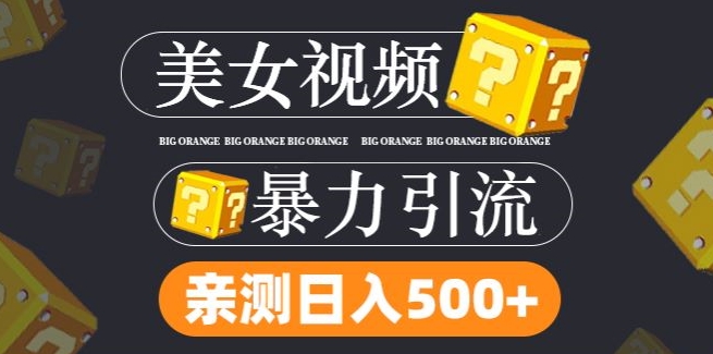 搬运tk美女视频全网分发，日引s粉300+，轻松变现，不限流量不封号【揭秘】-资源社