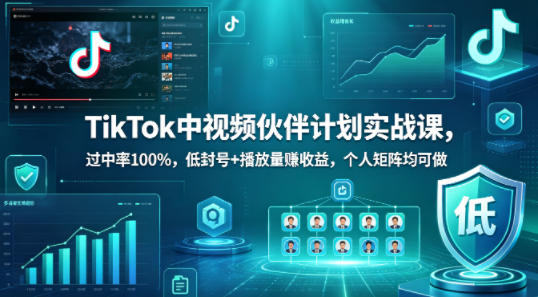 TikTok中视频伙伴计划实战课，过中率100%，低封号+播放量賺收益，个人矩阵均可做-资源社