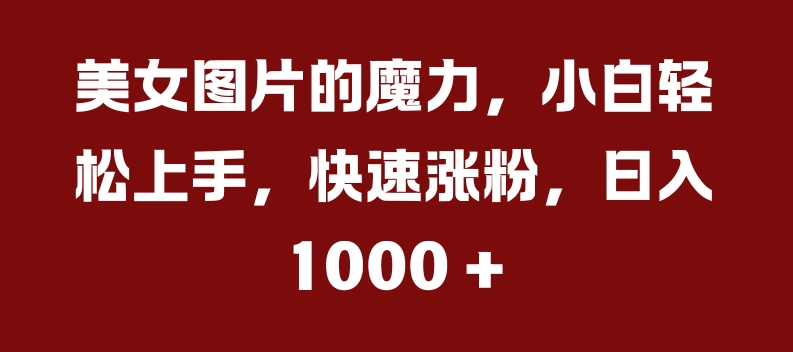 美女图片的魔力，小白轻松上手，快速涨粉，日入几张【揭秘】-资源社