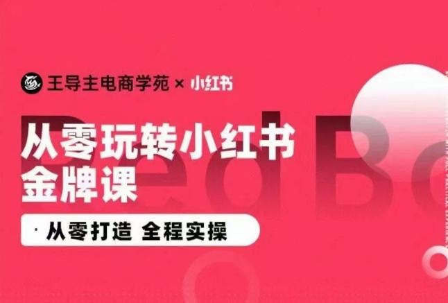 王导主·小红书电商运营实操课，​从零打造  全程实操-资源社